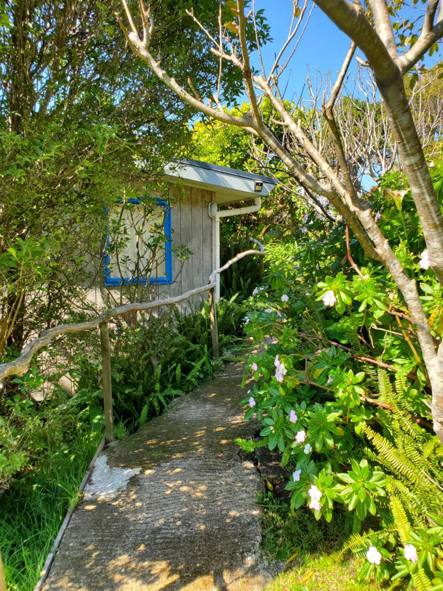 Rawhiti Cottage At Kaeppeli'S Kuaotunu Εξωτερικό φωτογραφία
